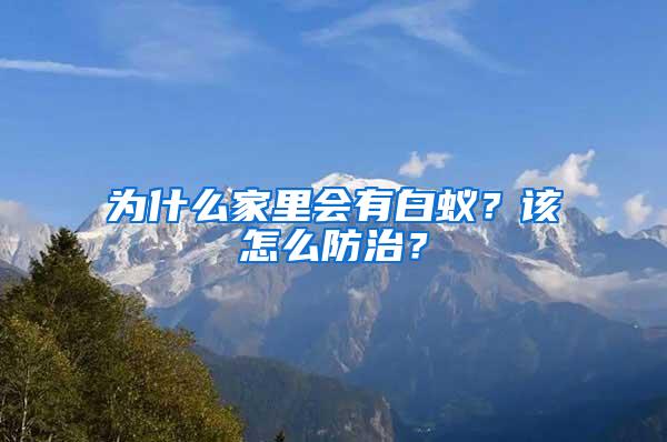 為什么家里會(huì)有白蟻？該怎么防治？