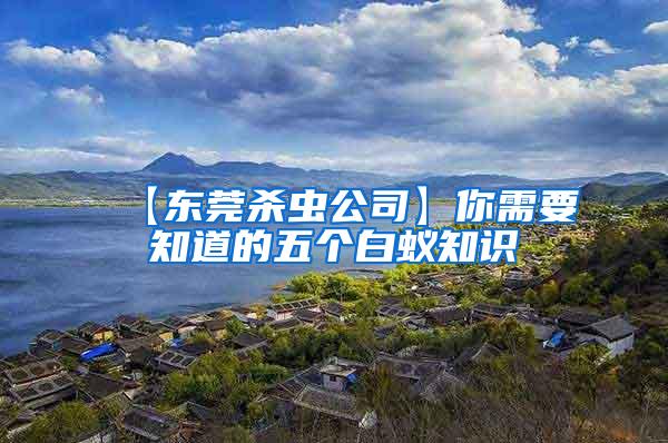 【東莞殺蟲公司】你需要知道的五個(gè)白蟻知識(shí)