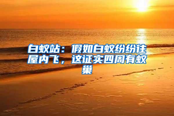 白蟻站：假如白蟻紛紛往屋內(nèi)飛，這證實(shí)四周有蟻巢