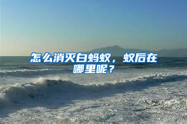 怎么消滅白螞蟻，蟻后在哪里呢？