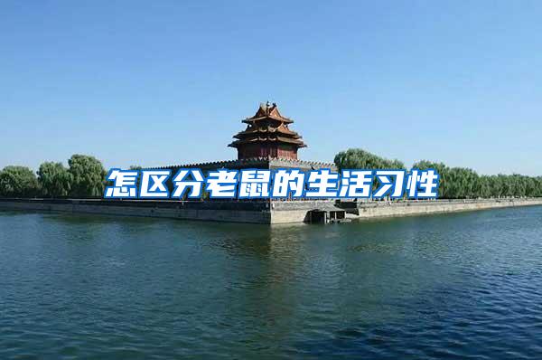 怎區(qū)分老鼠的生活習(xí)性