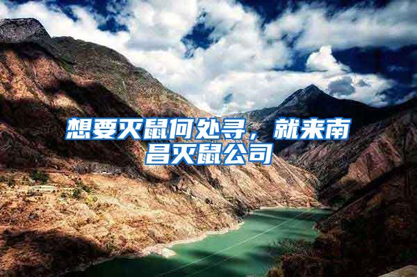 想要滅鼠何處尋,就來南昌滅鼠公司