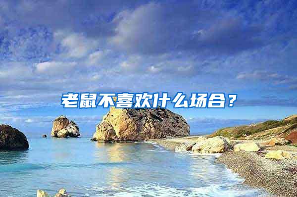 老鼠不喜歡什么場(chǎng)合?