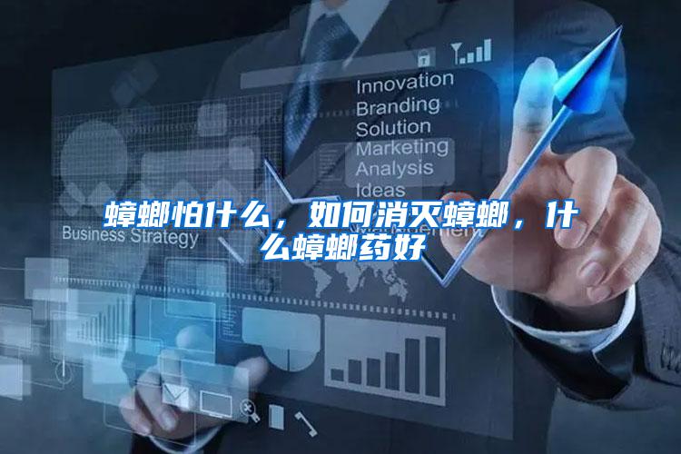 蟑螂怕什么，如何消滅蟑螂，什么蟑螂藥好