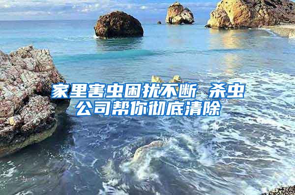 家里害蟲(chóng)困擾不斷 殺蟲(chóng)公司幫你徹底清除