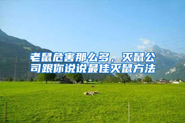 老鼠危害那么多,滅鼠公司跟你說說最佳滅鼠方法