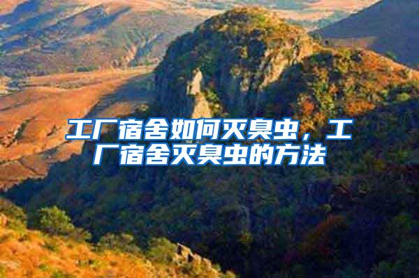 工廠宿舍如何滅臭蟲，工廠宿舍滅臭蟲的方法