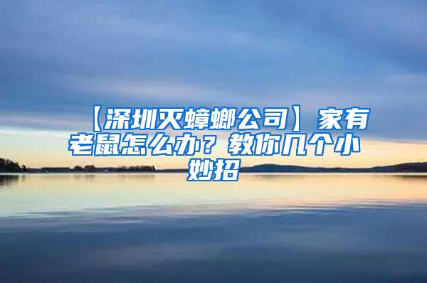 【深圳滅蟑螂公司】家有老鼠怎么辦？教你幾個小妙招