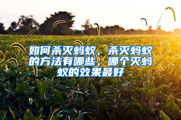 如何殺滅螞蟻，殺滅螞蟻的方法有哪些，哪個滅螞蟻的效果最好