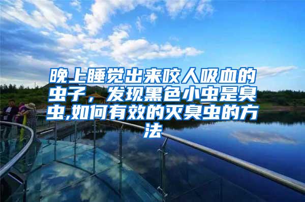 晚上睡覺出來咬人吸血的蟲子，發(fā)現(xiàn)黑色小蟲是臭蟲,如何有效的滅臭蟲的方法
