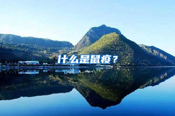 什么是鼠疫？