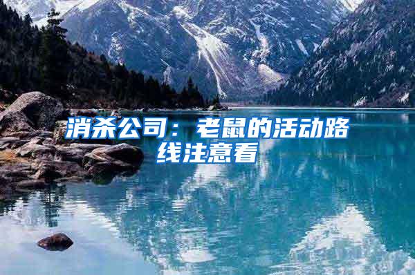 消殺公司:老鼠的活動路線注意看