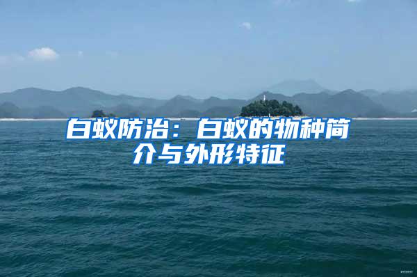 白蟻防治:白蟻的物種簡(jiǎn)介與外形特征