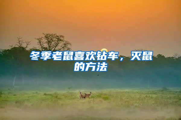 冬季老鼠喜歡鉆車,滅鼠的方法