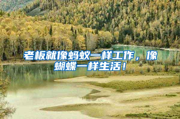 老板就像螞蟻一樣工作，像蝴蝶一樣生活！