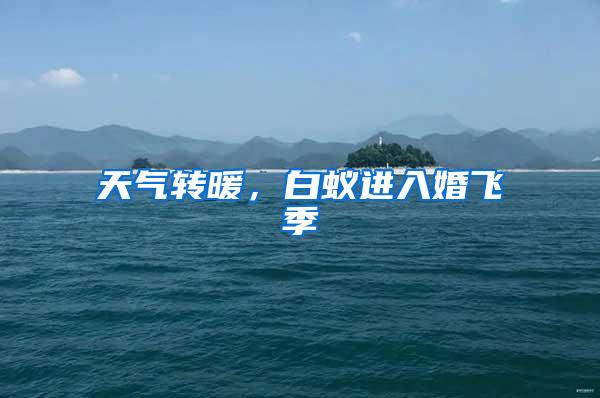 天氣轉(zhuǎn)暖，白蟻進(jìn)入婚飛季