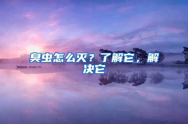 臭蟲怎么滅？了解它，解決它
