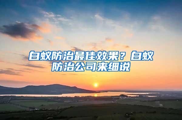 白蟻防治最佳效果？白蟻防治公司來細(xì)說