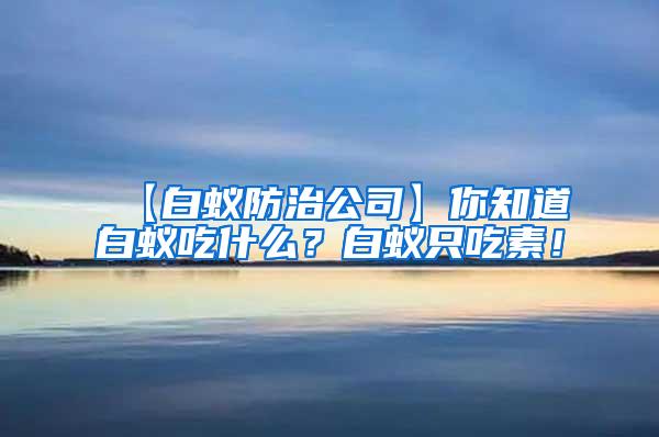 【白蟻防治公司】你知道白蟻吃什么？白蟻只吃素！