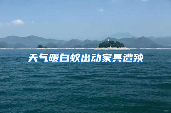 天氣暖白蟻出動(dòng)家具遭殃