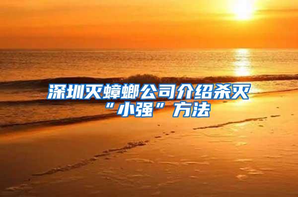 深圳滅蟑螂公司介紹殺滅“小強(qiáng)”方法