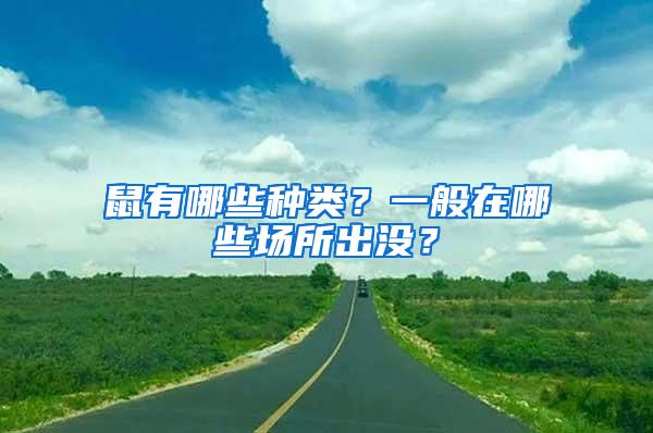 鼠有哪些種類？一般在哪些場(chǎng)所出沒？