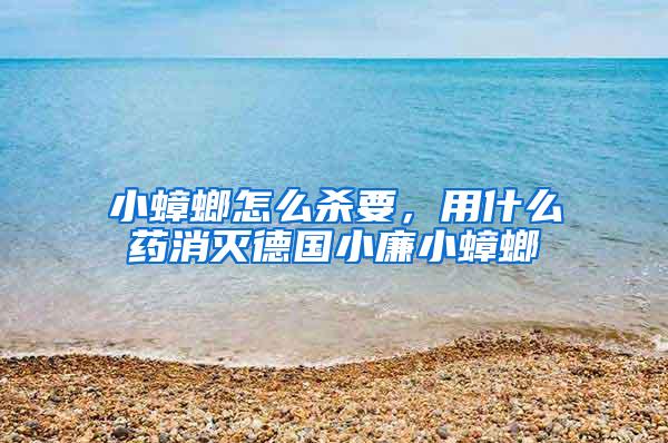 小蟑螂怎么殺要，用什么藥消滅德國(guó)小廉小蟑螂