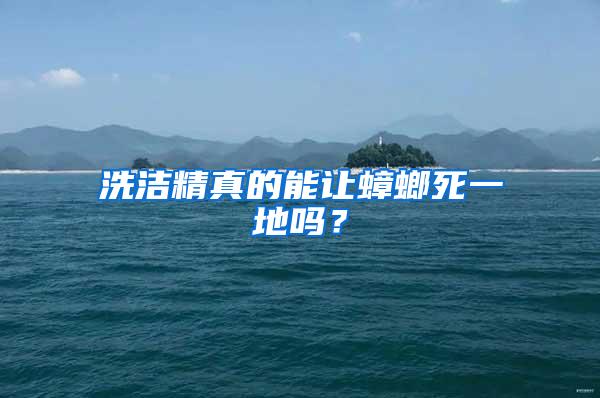 洗潔精真的能讓蟑螂死一地嗎？