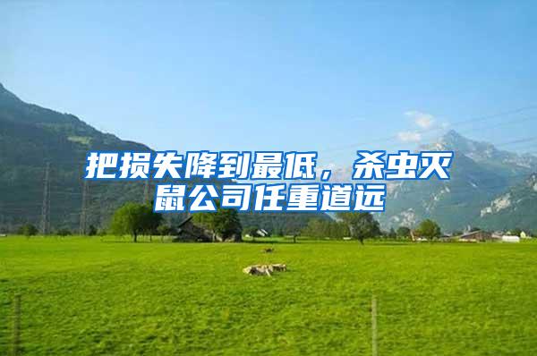 把損失降到最低，殺蟲滅鼠公司任重道遠(yuǎn)