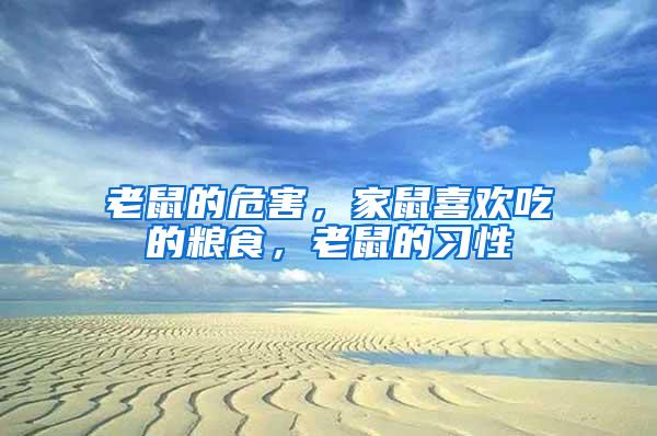 老鼠的危害，家鼠喜歡吃的糧食，老鼠的習(xí)性