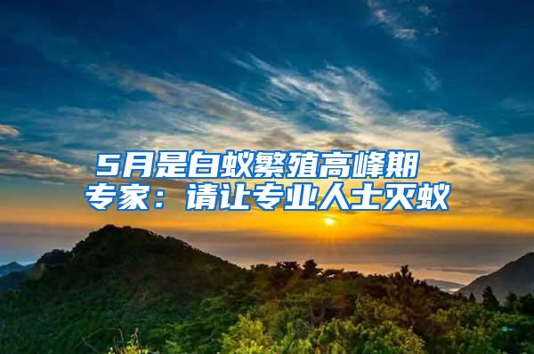 5月是白蟻繁殖高峰期 專家:請讓專業(yè)人士滅蟻