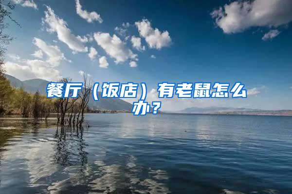 餐廳（飯店）有老鼠怎么辦？