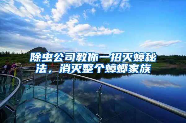 除蟲公司教你一招滅蟑秘法，消滅整個蟑螂家族