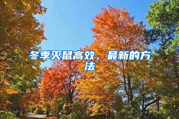 冬季滅鼠高效，最新的方法