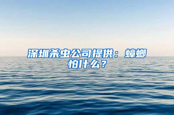 深圳殺蟲公司提供:蟑螂怕什么?