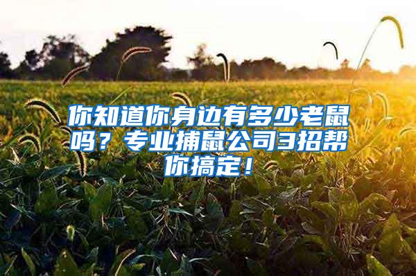 你知道你身邊有多少老鼠嗎？專業(yè)捕鼠公司3招幫你搞定！