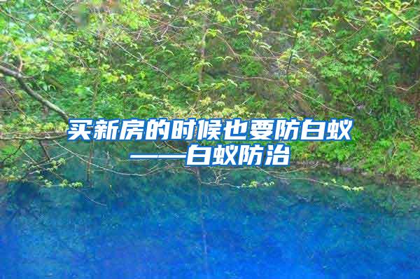 買新房的時(shí)候也要防白蟻——白蟻防治