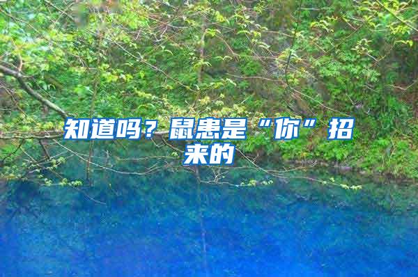 知道嗎?鼠患是“你”招來(lái)的