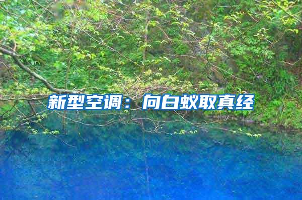 新型空調(diào):向白蟻取真經(jīng)