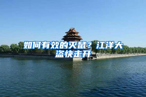 如何有效的滅鼠？江洋大盜快走開