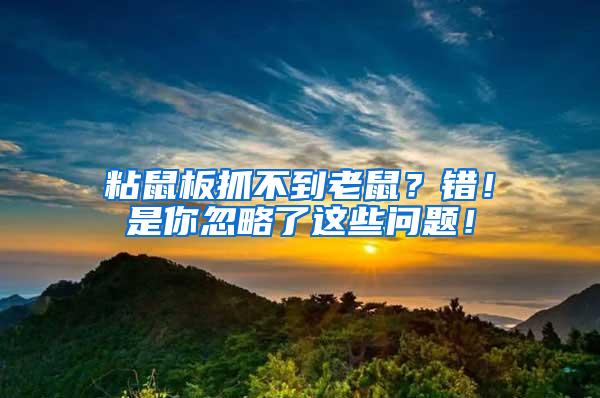 粘鼠板抓不到老鼠？錯！是你忽略了這些問題！