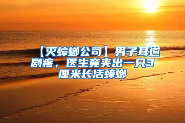 【滅蟑螂公司】男子耳道劇疼，醫(yī)生竟夾出一只3厘米長(zhǎng)活蟑螂