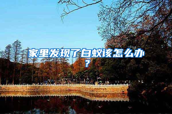 家里發(fā)現(xiàn)了白蟻該怎么辦？