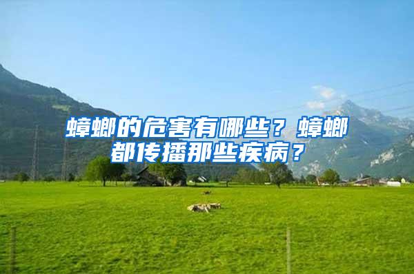 蟑螂的危害有哪些？蟑螂都傳播那些疾?。?/></p>
             <p style=
