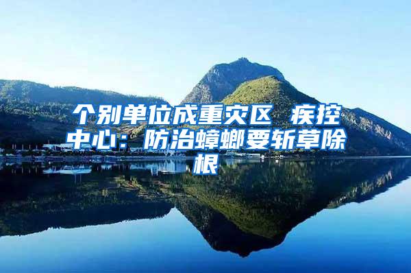 個(gè)別單位成重災(zāi)區(qū) 疾控中心:防治蟑螂要斬草除根