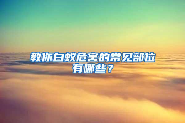 教你白蟻危害的常見部位有哪些？