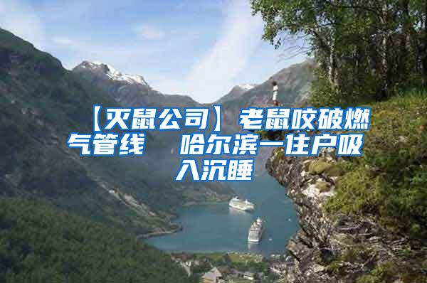 【滅鼠公司】老鼠咬破燃?xì)夤芫€ 哈爾濱一住戶吸入沉睡