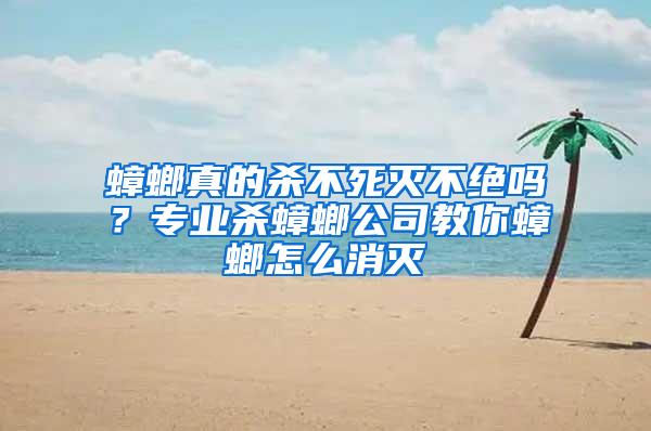 蟑螂真的殺不死滅不絕嗎？專業(yè)殺蟑螂公司教你蟑螂怎么消滅