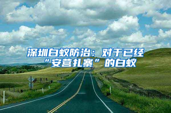 深圳白蟻防治：對于已經(jīng)“安營扎寨”的白蟻