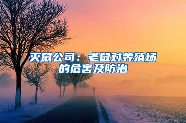 滅鼠公司:老鼠對養(yǎng)殖場的危害及防治